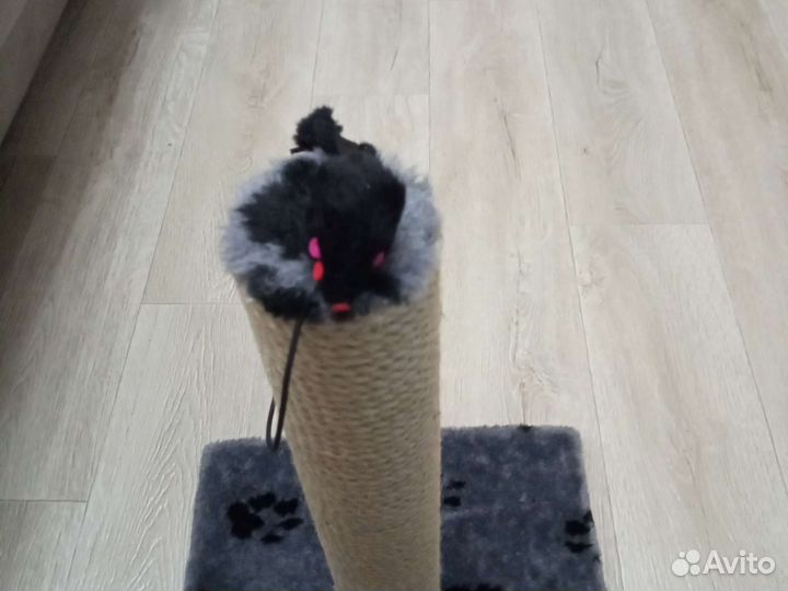 Когтеточка для кошек