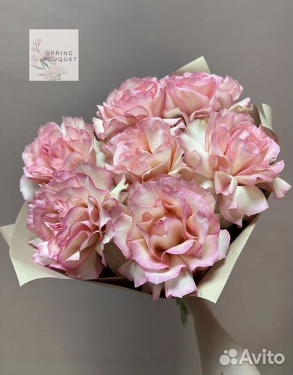 Розы Эквадор кустовые эвкалипт