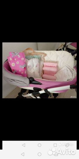 Коляска 2 в 1 adamex Gloria