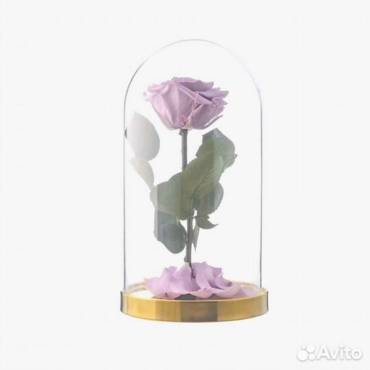 Розы в колбе на выбор