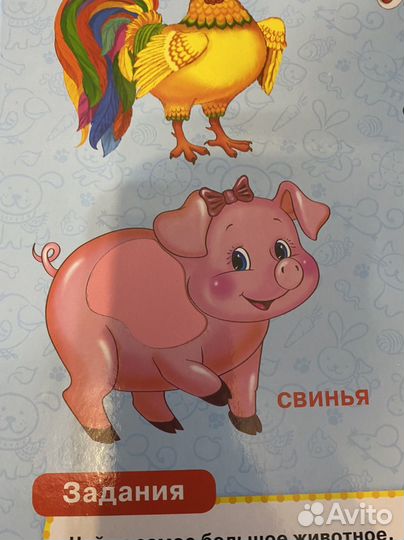 Тактильная книжка 