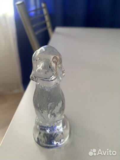 Собака город Гусь хрустальный
