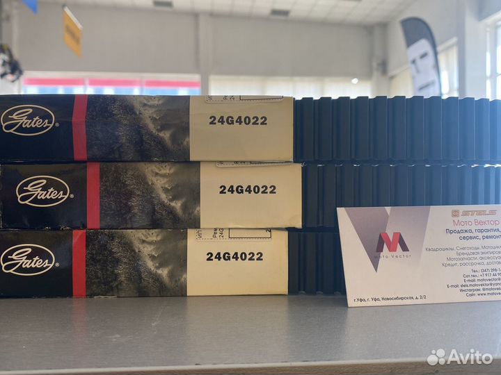 Ремень вариатора gates G-force 24G4022
