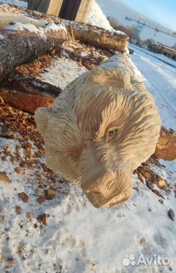 Сруб кедровой бани, канадская, дикая рубка