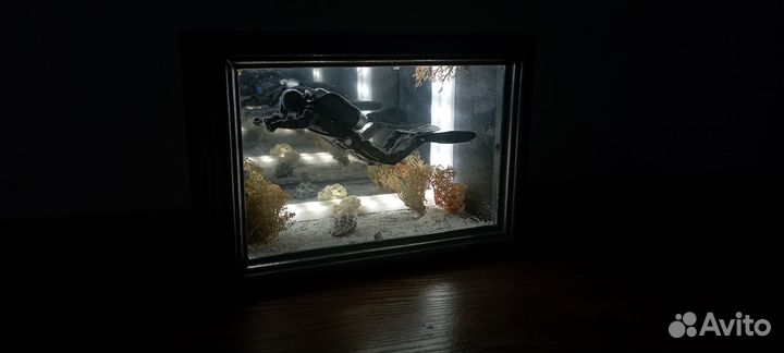 Ночник дайвер