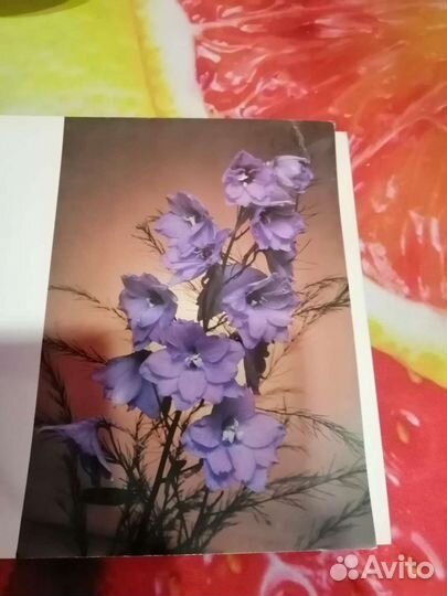 Открытки СССР