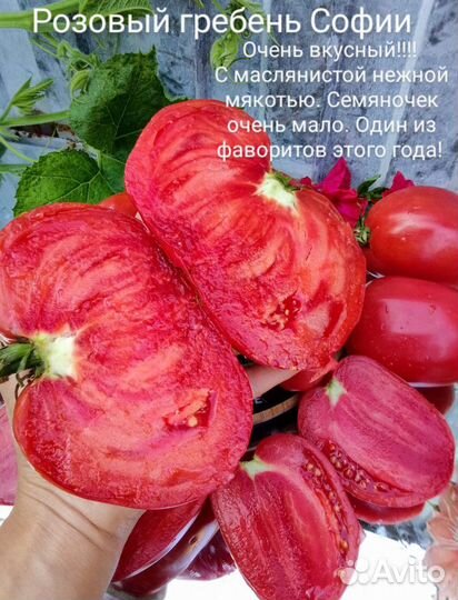 Семена сортовых томатов