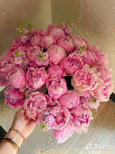 Цветы пионы