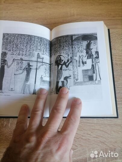 Барбара Мертц. Древний Египет