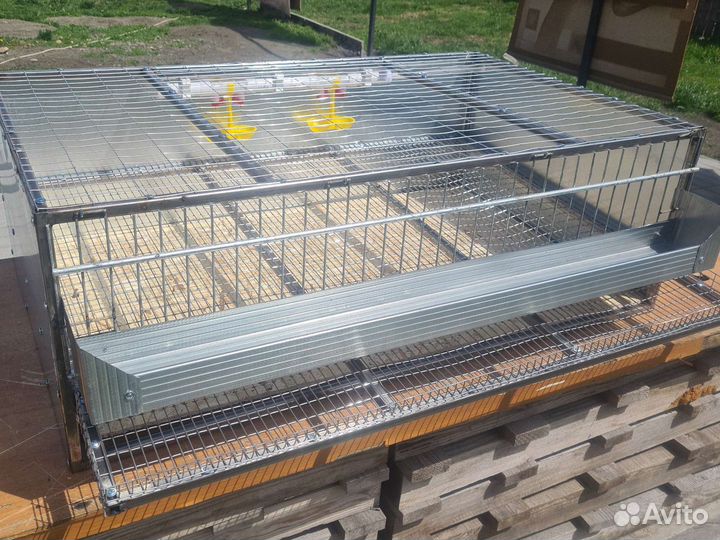 Клетки для перепелов новые