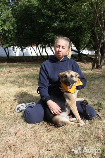 Собака в самую лучшую семью