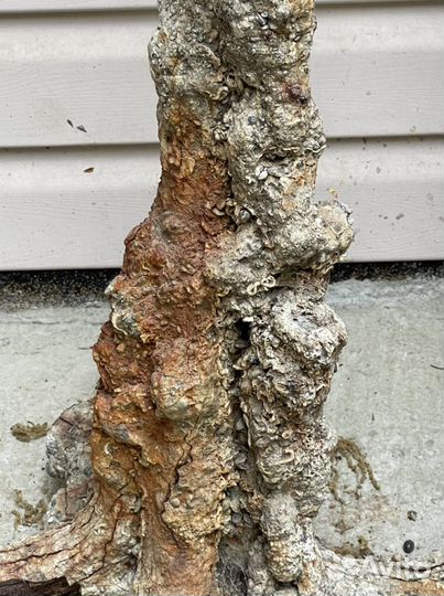 Якорь старинный