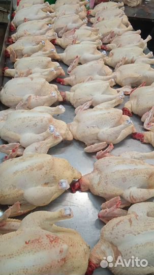 Мясо домашнего бройлера