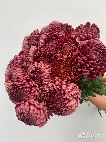 Букет из хризантем бигуди