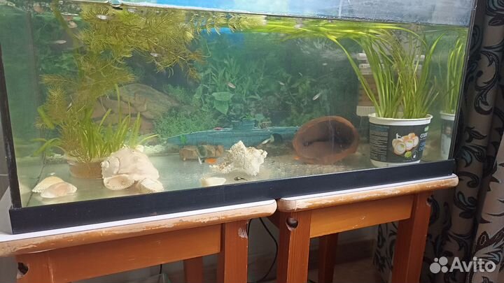 Аквариум на 55 литров