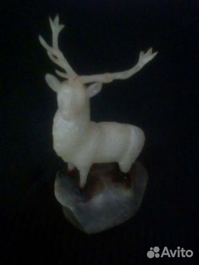 Олень фосфор