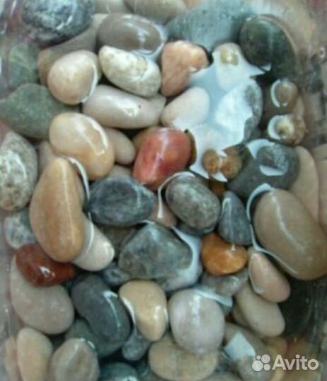 Камешки морские - для поделок или в аквариум