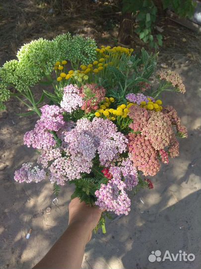 Цветы на срезку