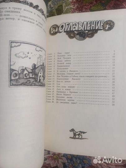 Сергиенко До свидания, Овраг 1979г