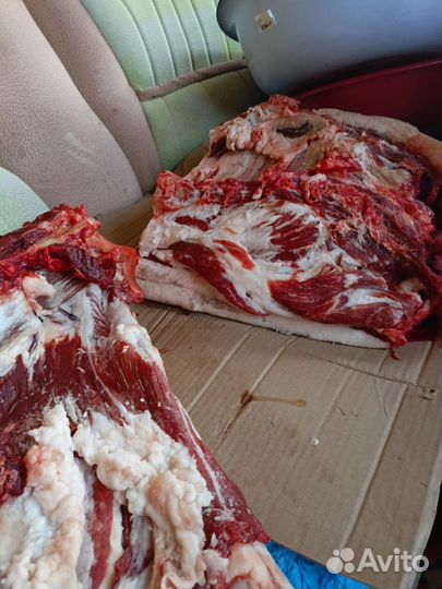 Продам мясо свинина