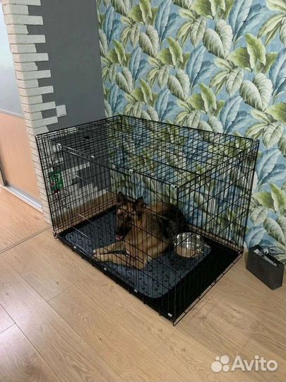 Клетка вольер для собаки N 6 (120*79*83)
