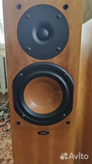 Акустика Chario Silhouette 100 TW