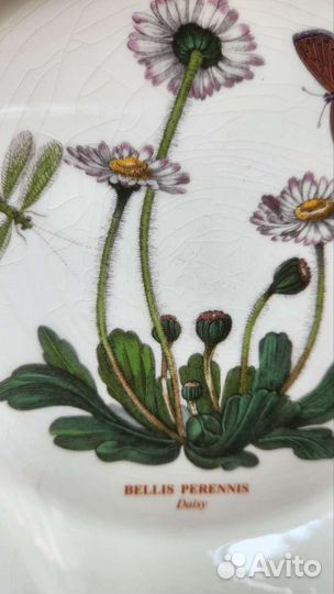 Portmeirion botanical garden для Натальи