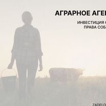 Аграрный портал в городе Алчевск, Алчевск