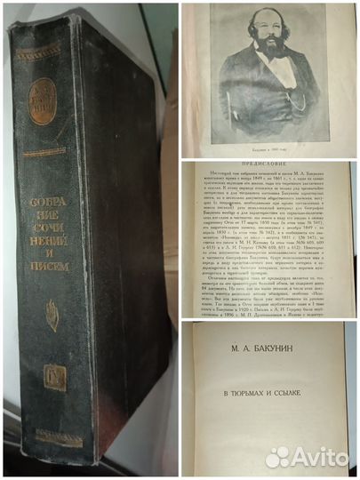 Алтаев, Серафимович, Тарле, Бакунин, Руставели