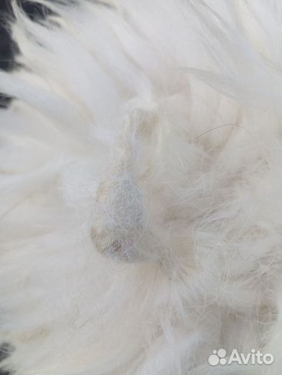 Папаха кавказская