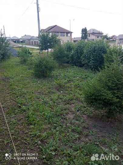 Покос травы триммером