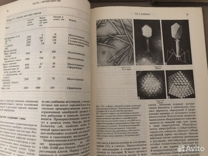 Основы биохимии А.Ленинджер 3 тома 1985