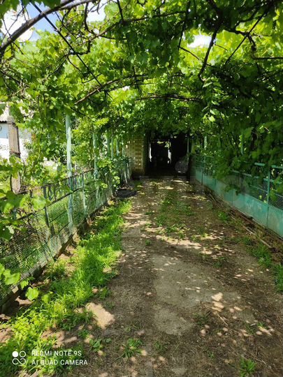 Дом 61,3 м² на участке 15 сот.