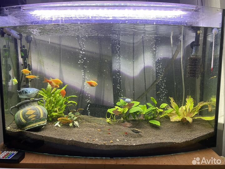 Свет лампа для аквариума и автокормушка тетра