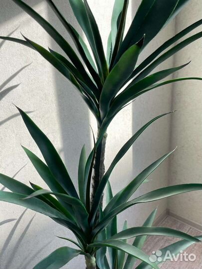 Искусственное дерево,пальма,агава,стрелиция,банан