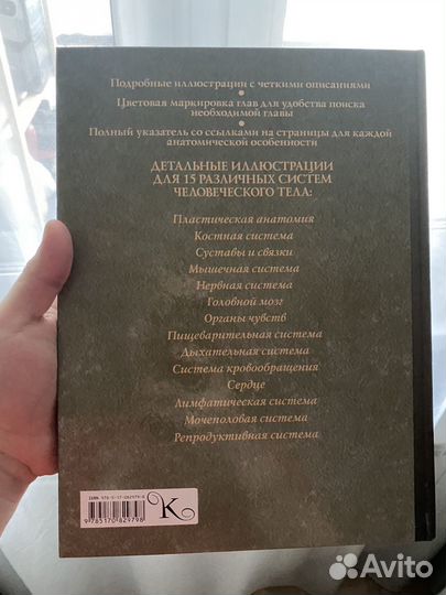 Атлас анатомии человека новый