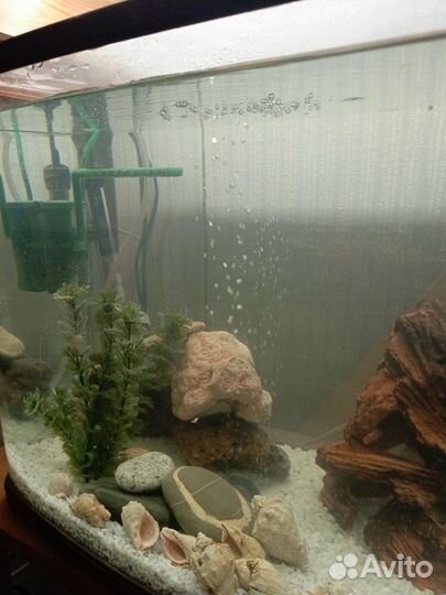 Аквариум 60 л