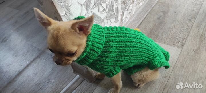 Кофта для собак