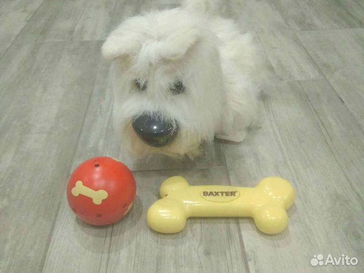 Игрушечная собака