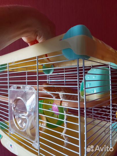 Клетка для джунгарского хомяка