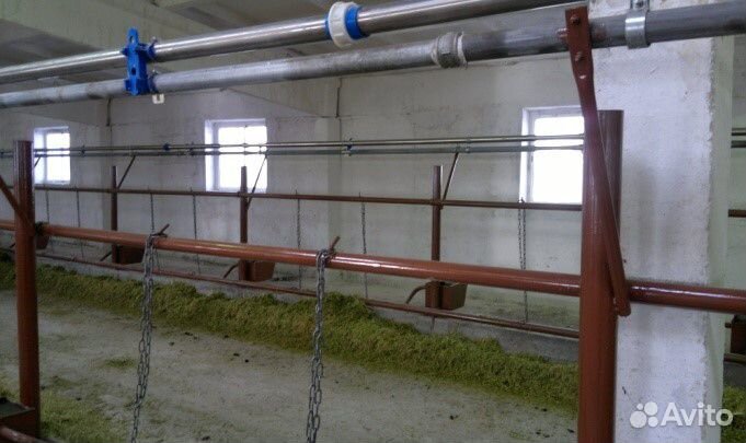 Стойловые места для привязи и поение на 200 голов