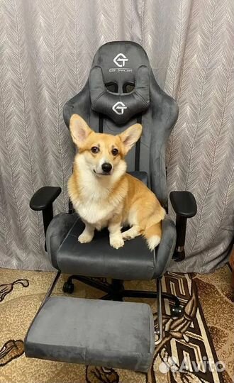 Офисное кресло (геймерское). Кресло для директора