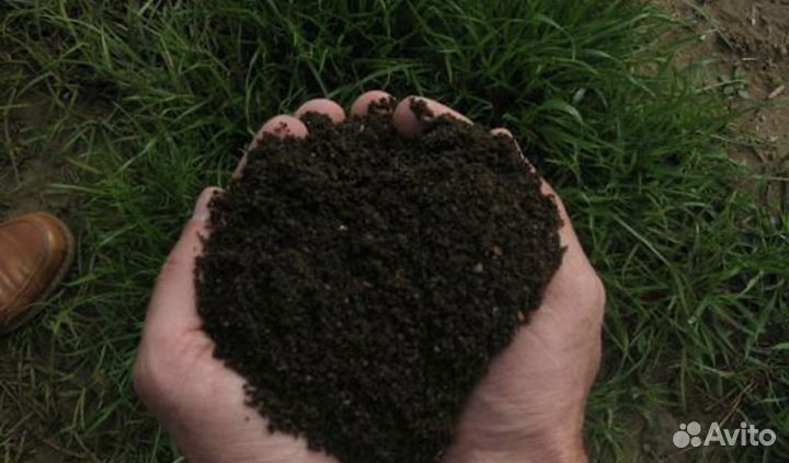 Доставка плодородного грунта