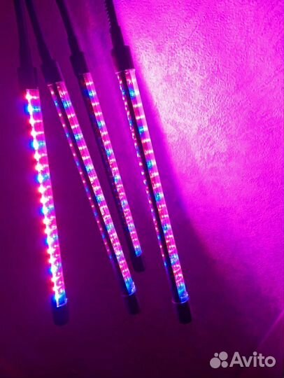 Фитолампа для растений