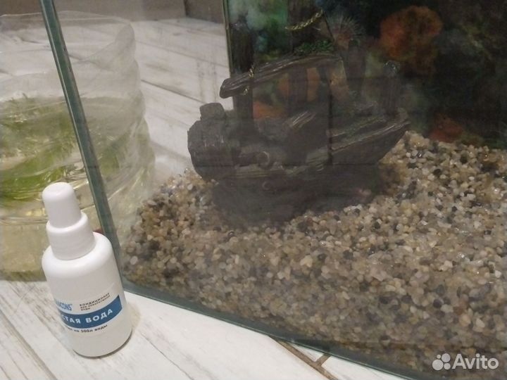 Аквариум с рыбками