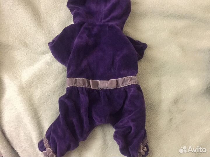 Одежда для собак домашняя