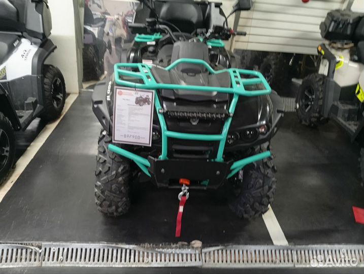 Снегоболотоход