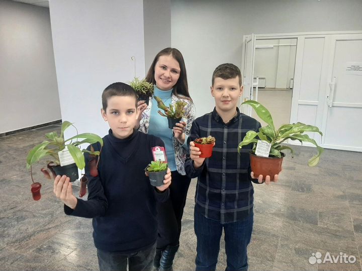 Мастер классы с хищными растениями