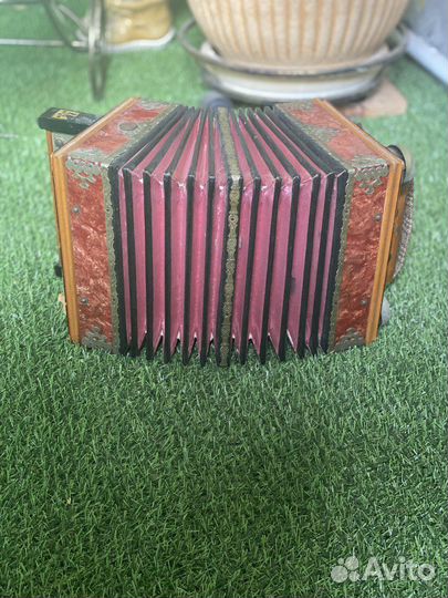 Саратовская Гармонь