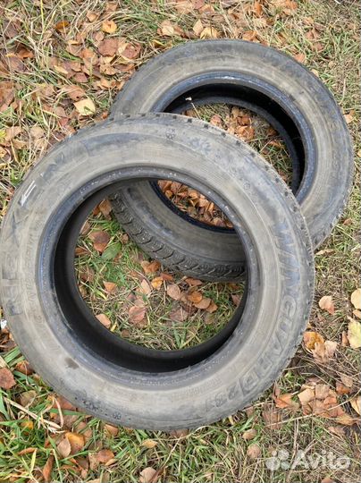 Nexen Winguard 231 185/65 R15